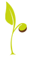 keimling